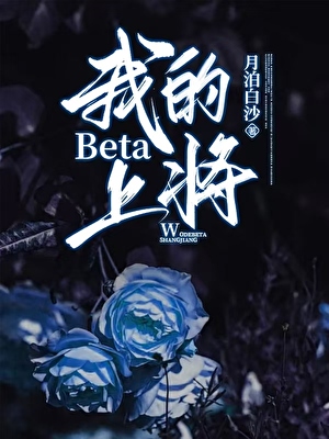 我的Beta上将