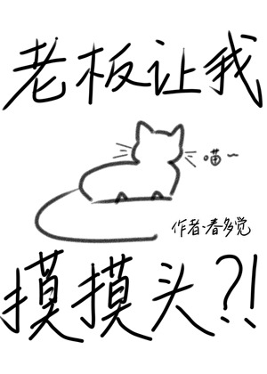 老板让我摸摸头？！