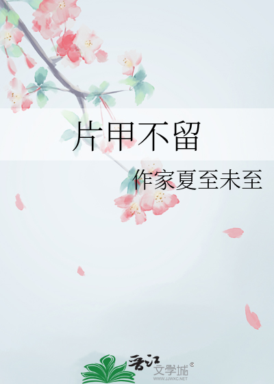片甲不留
